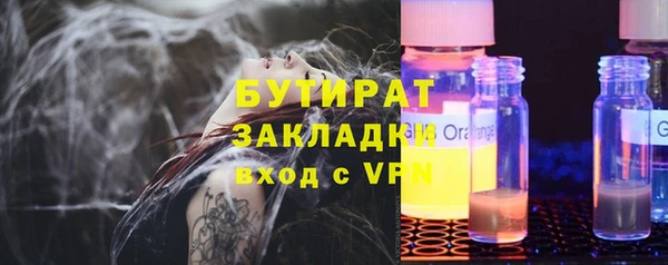 2c-b Ельня