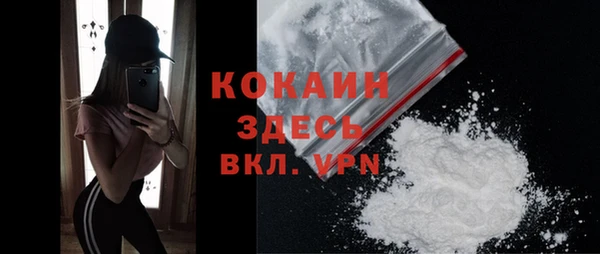 молекула духа Елабуга