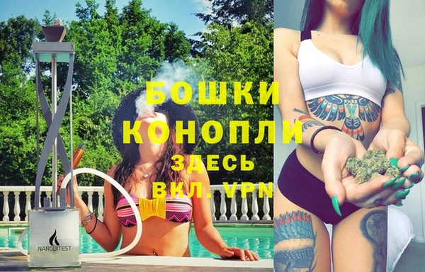 2c-b Ельня