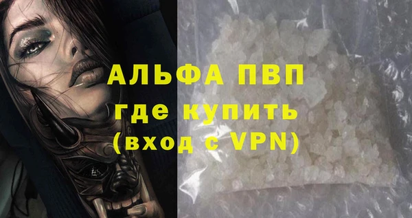 молекула духа Елабуга