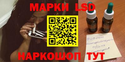 стаф Гатчина