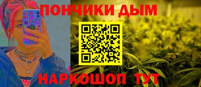 стаф Гатчина