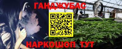 стаф Гатчина