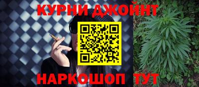 стаф Гатчина