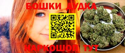 стаф Гатчина