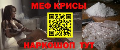 стаф Гатчина