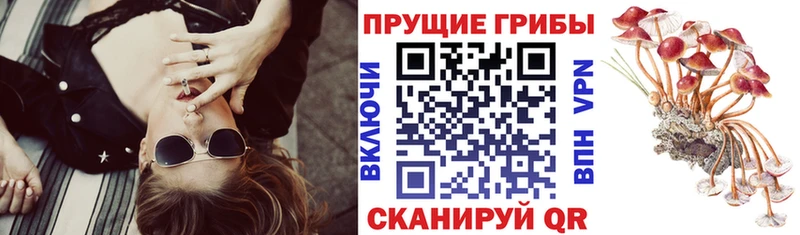 цена   Саяногорск  Псилоцибиновые грибы Magic Shrooms 