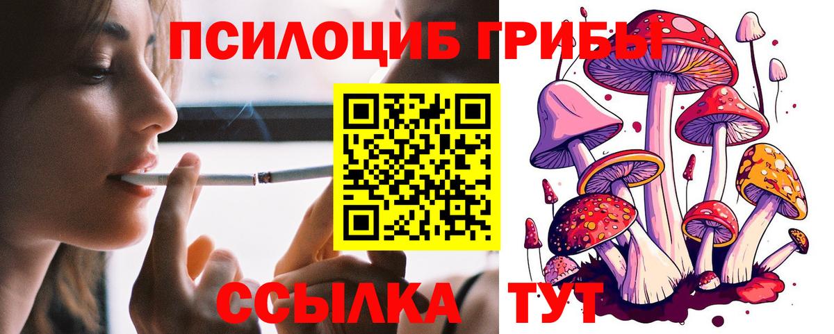 Галлюциногенные грибы Psilocybe  Вход с VPN  Саяногорск  Галлюциногенные грибы прущие грибы 